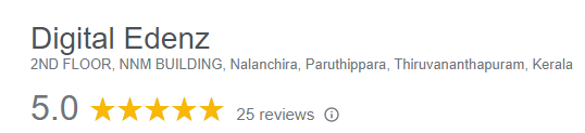 Digital Edenz Google Reviews