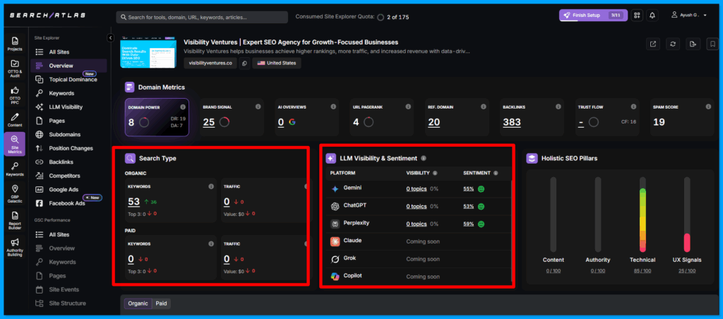 Overview of your websites organic ranking and LLM Visibility & Sentiment.